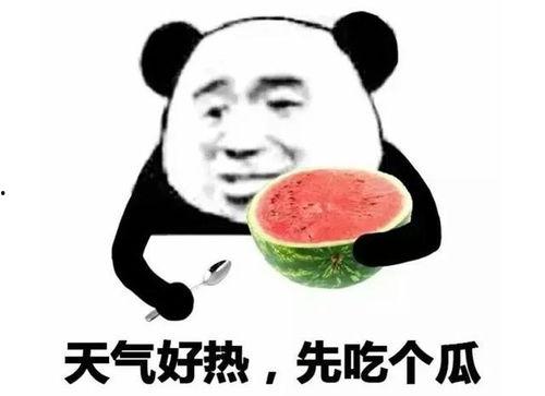 吃瓜表情包怎么回复,轻松幽默的社交互动新方式